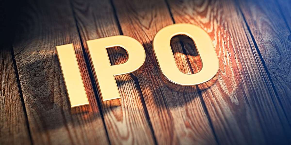 Analyzing the Hottest IPOs of 2024: Performance and Predictions