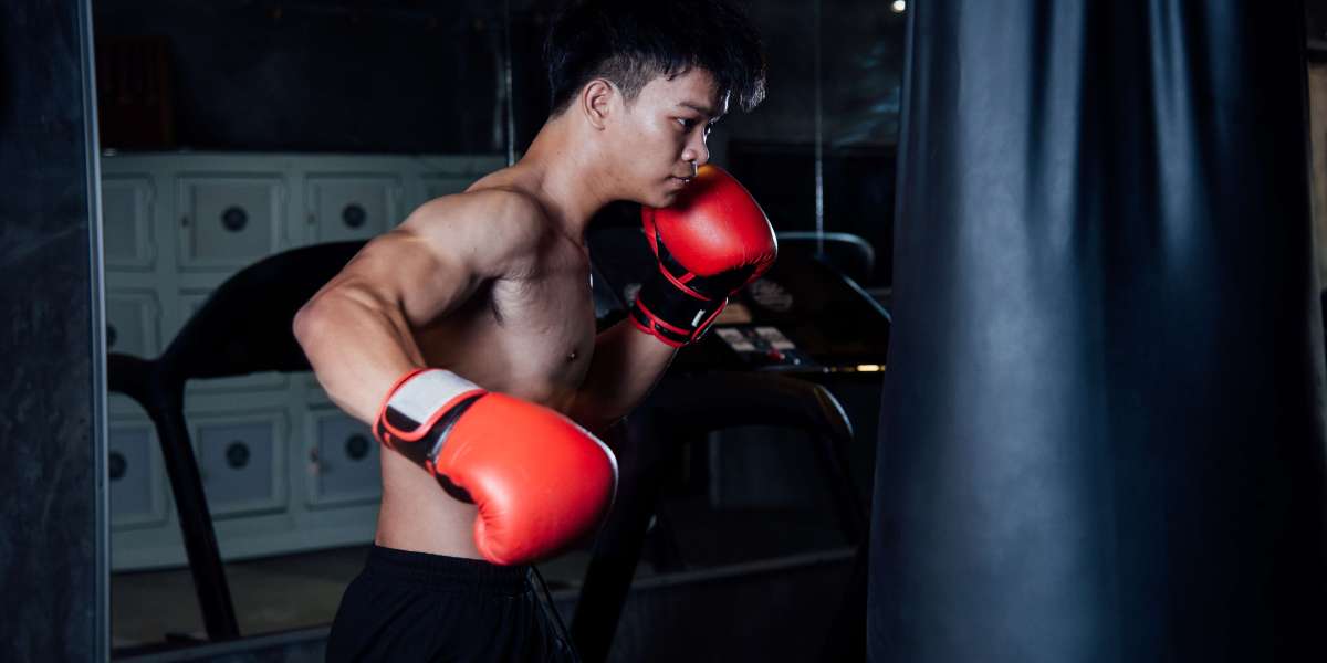 Exploring Manhattan's Exclusive Boxing Training Experience