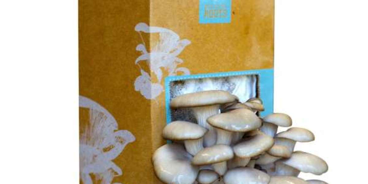 The Costs of Custom mushroom boxes Production