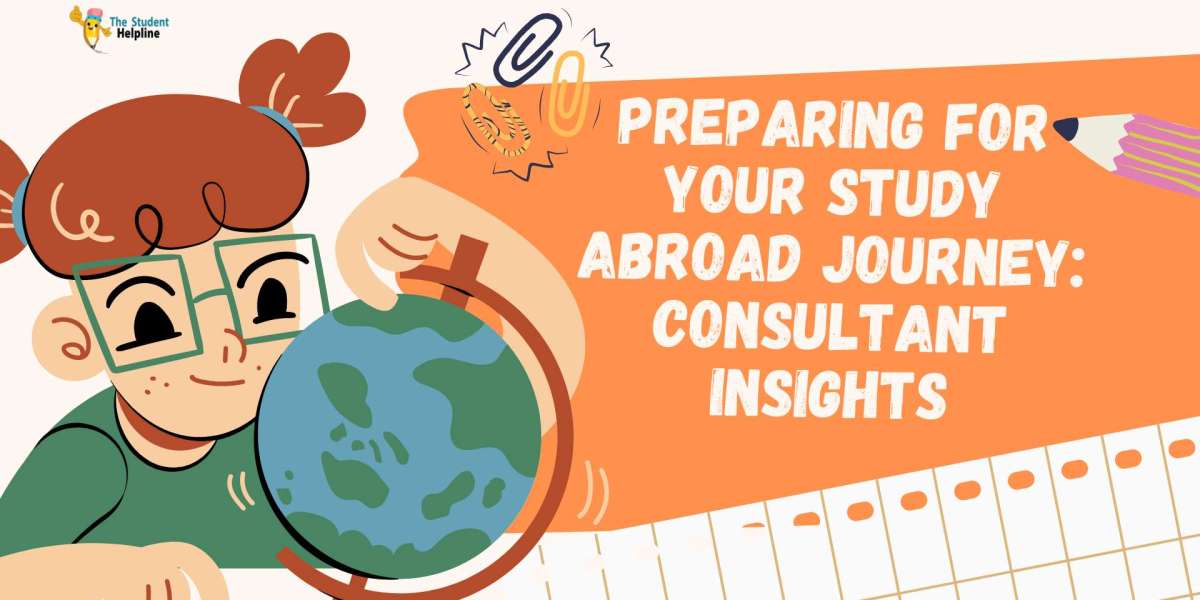Preparing for Your Study Abroad Consultant Journey  Insights