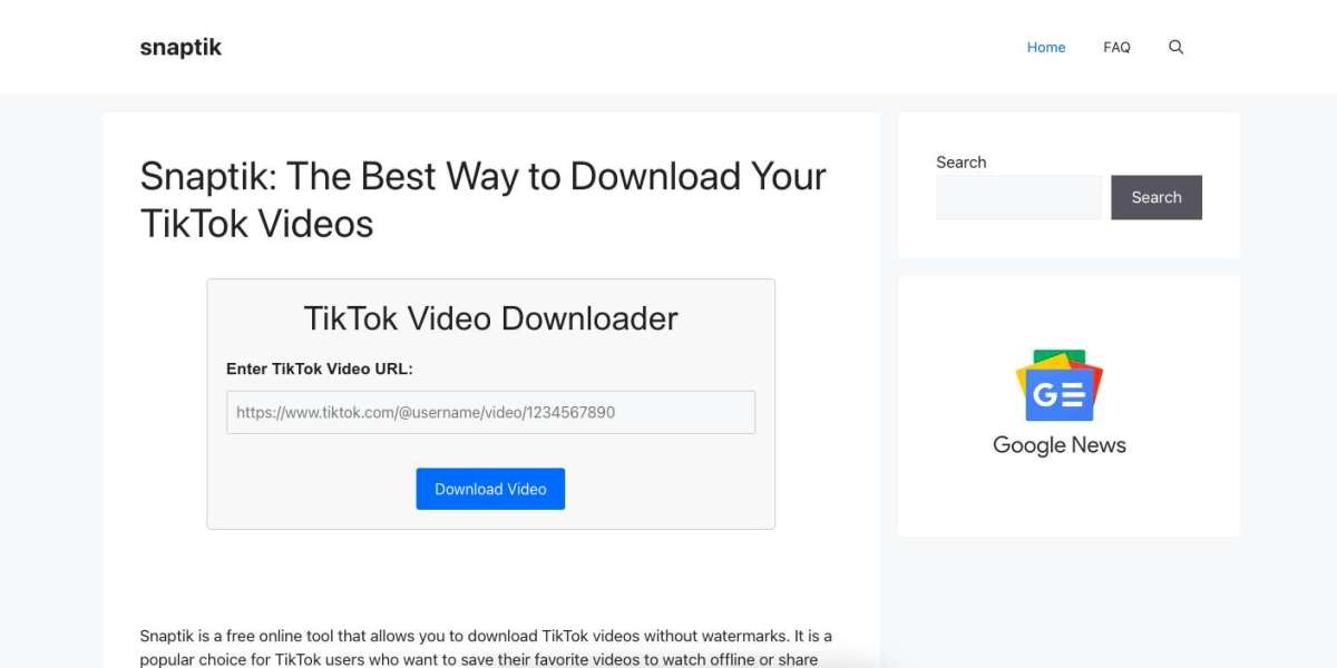 top tiktoker downloader