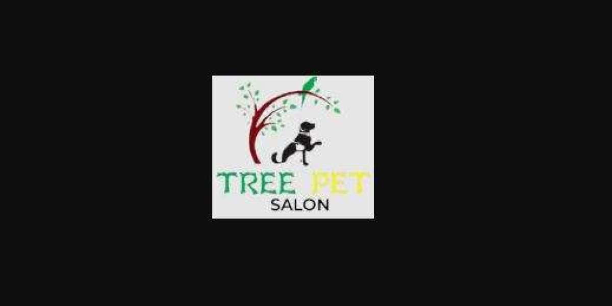 TreePetSalon: Your Trusted Pet Boarding in Sharjah