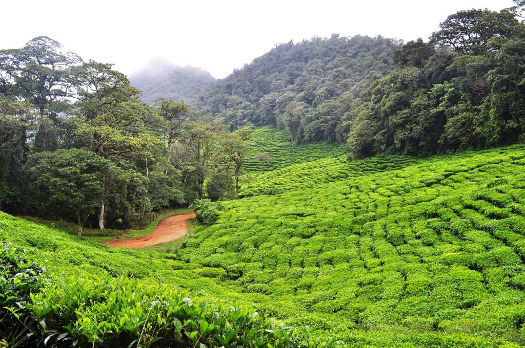 La Línea Base Ambiental y su Importancia en los Mapas Hídricos de Colombia