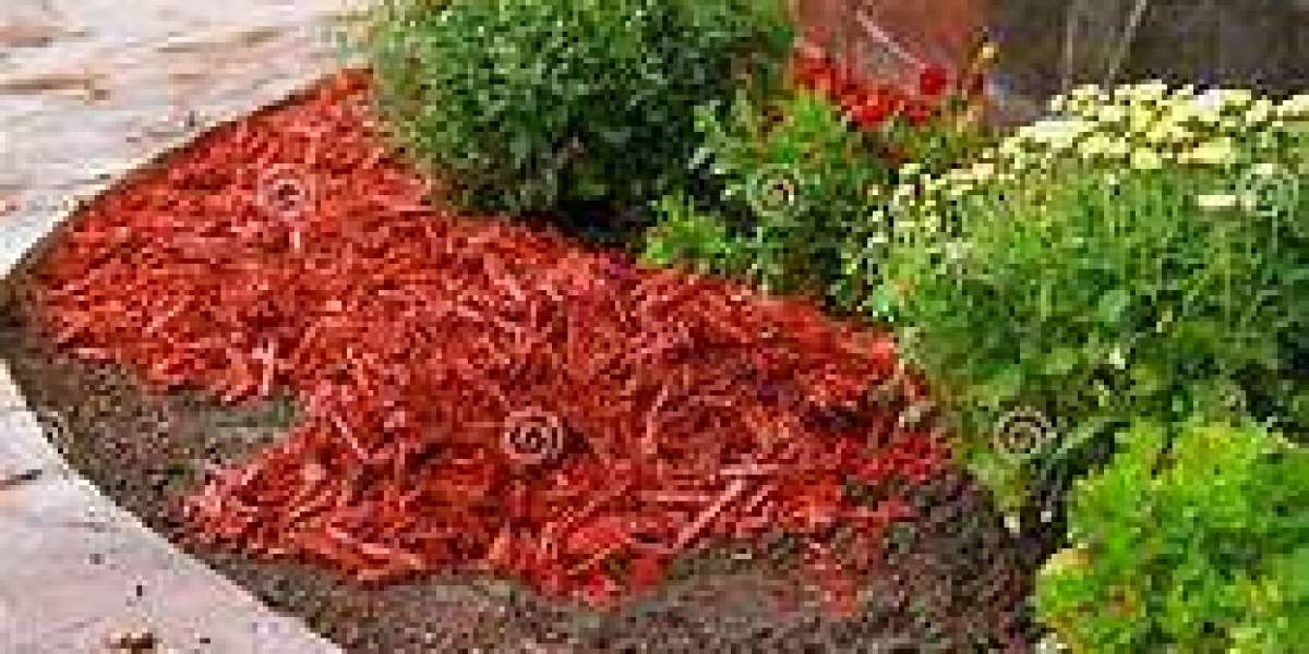 The Aesthetic Appeal of Decorative Bark Mulch