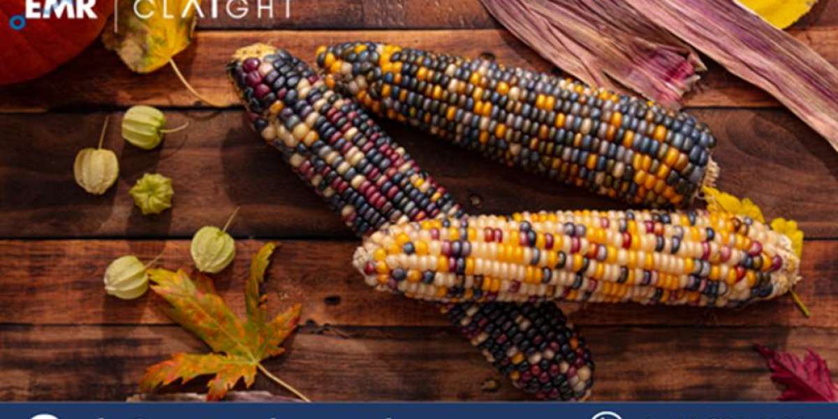 Native Corn Price Forecast Report: Comprehensive Analysis and Future Trends