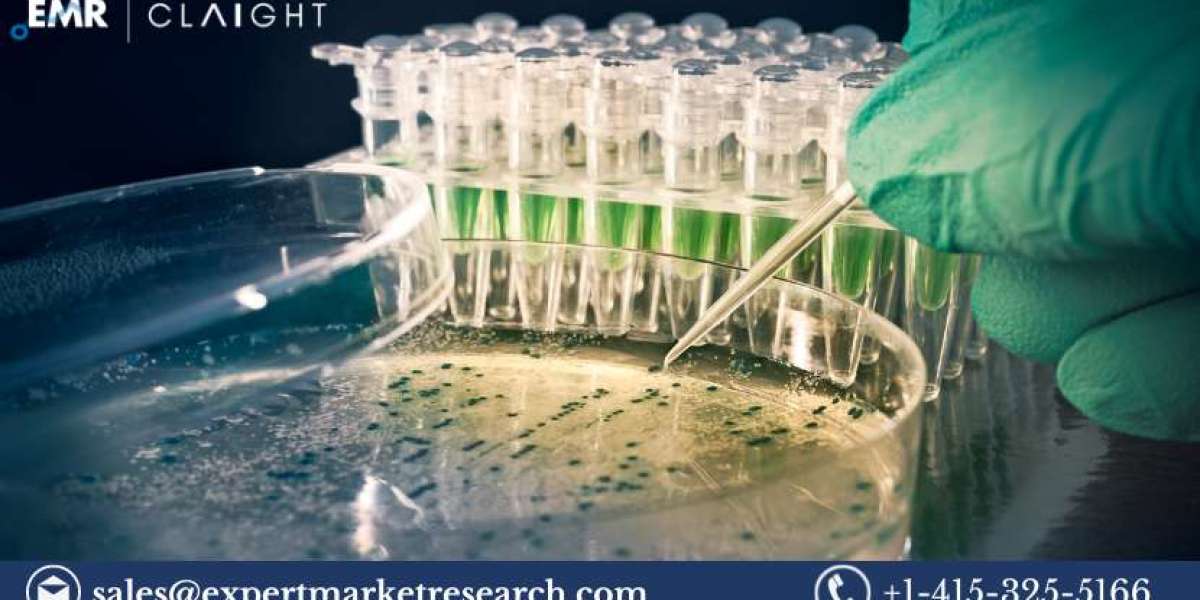 Cloning and Mutagenesis Market Size, Share, Trends, Growth, Analysis, Report and Forecast 2024-2032