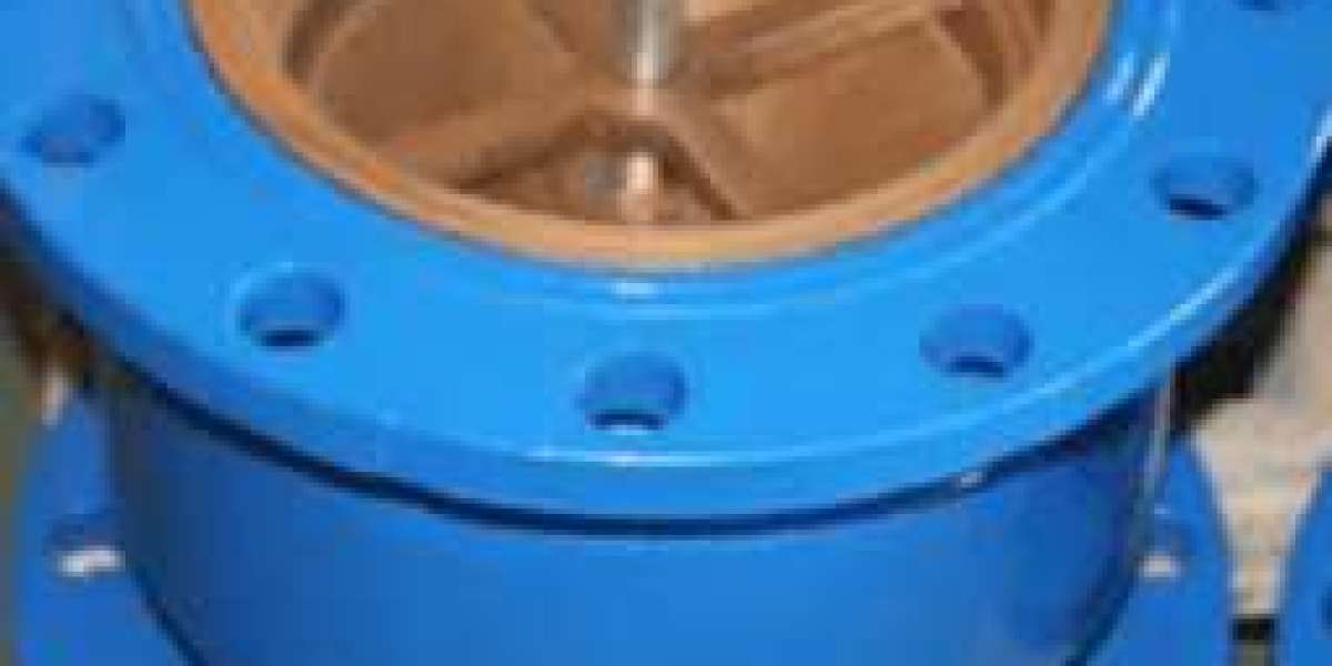 Non Slam Check Valve Supplier in Brazil