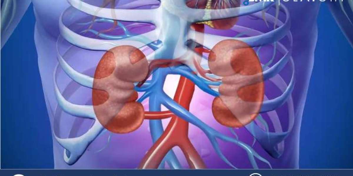 Acute Kidney Injury Treatment Market Report 2032