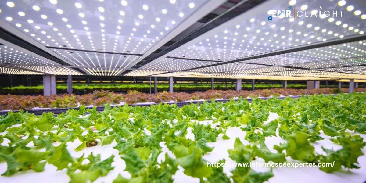 Revolucionando la Alimentación: El Crecimiento del Mercado de Agricultura Vertical en México