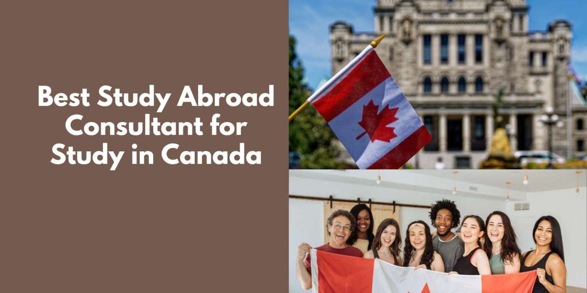 Best Study Abroad Consultant for Study in Canada