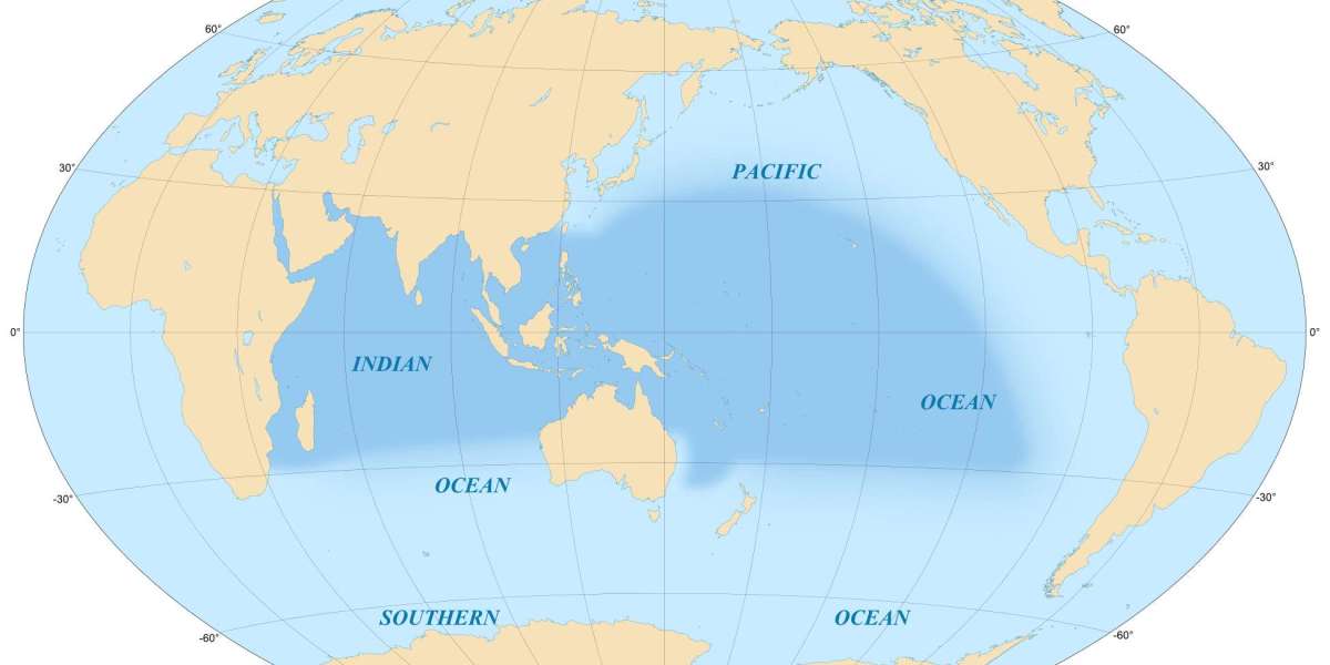 India’s Role in the Indo-Pacific Delhi Policy Group