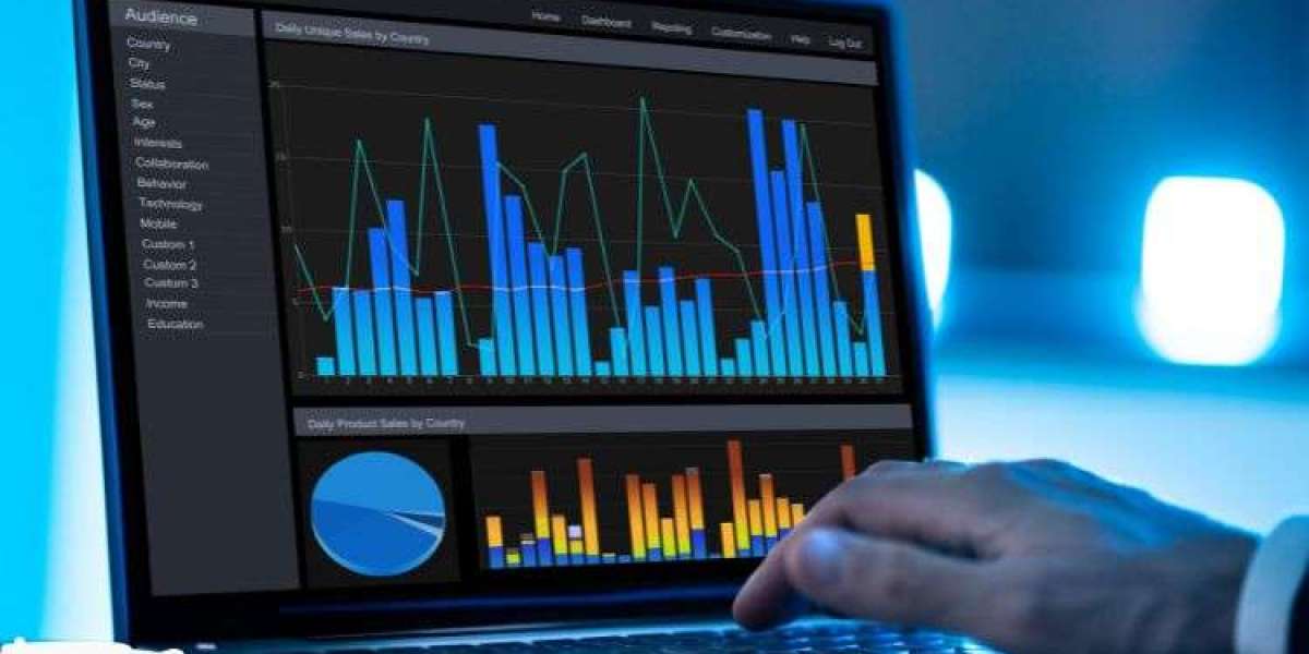 Insights into the Embedded Analytics Market (2024-2032)