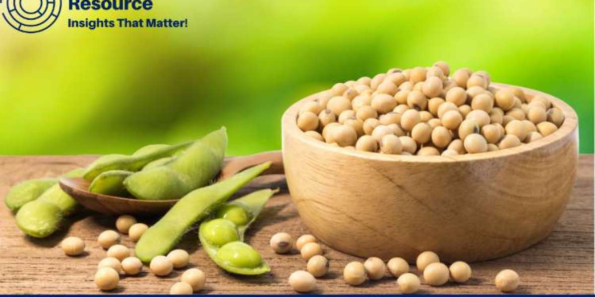 Soybean Price Trend: Comprehensive Analysis, Current Trends, and Future Outlook