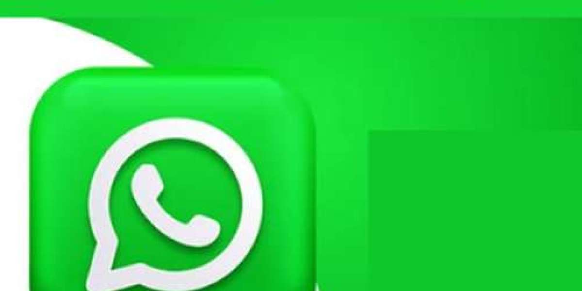 Bulk WhatsApp Marketing for Delivery Services Promotion in Hyderabad