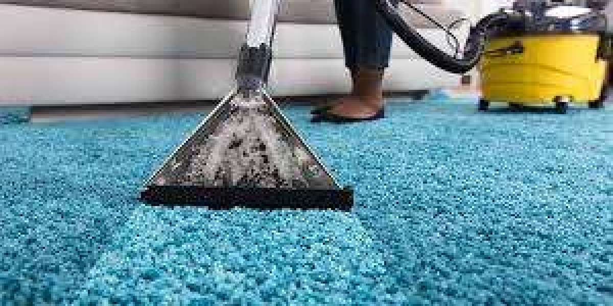 Affordable Carpet Cleaning Services: Transform Your Space Now!