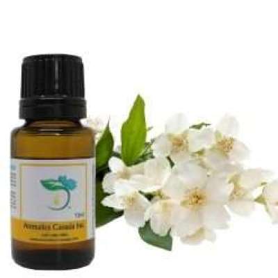 Gardenia Fragrant Oil Profile Picture