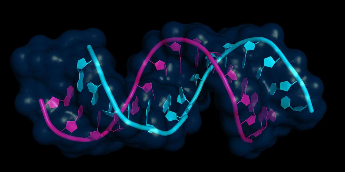 North America Gene Expression Market Size, Share, Growth, Report 2032