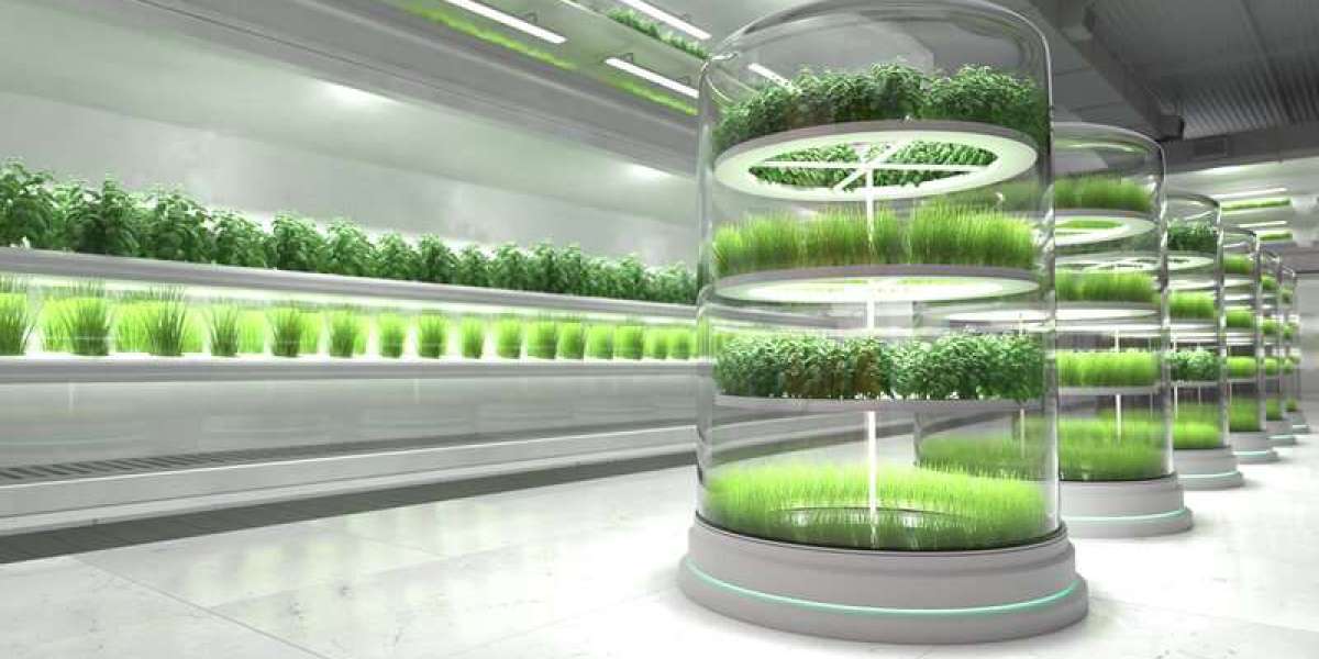 Hydroponics Farming in the USA: Revolutionizing Agriculture