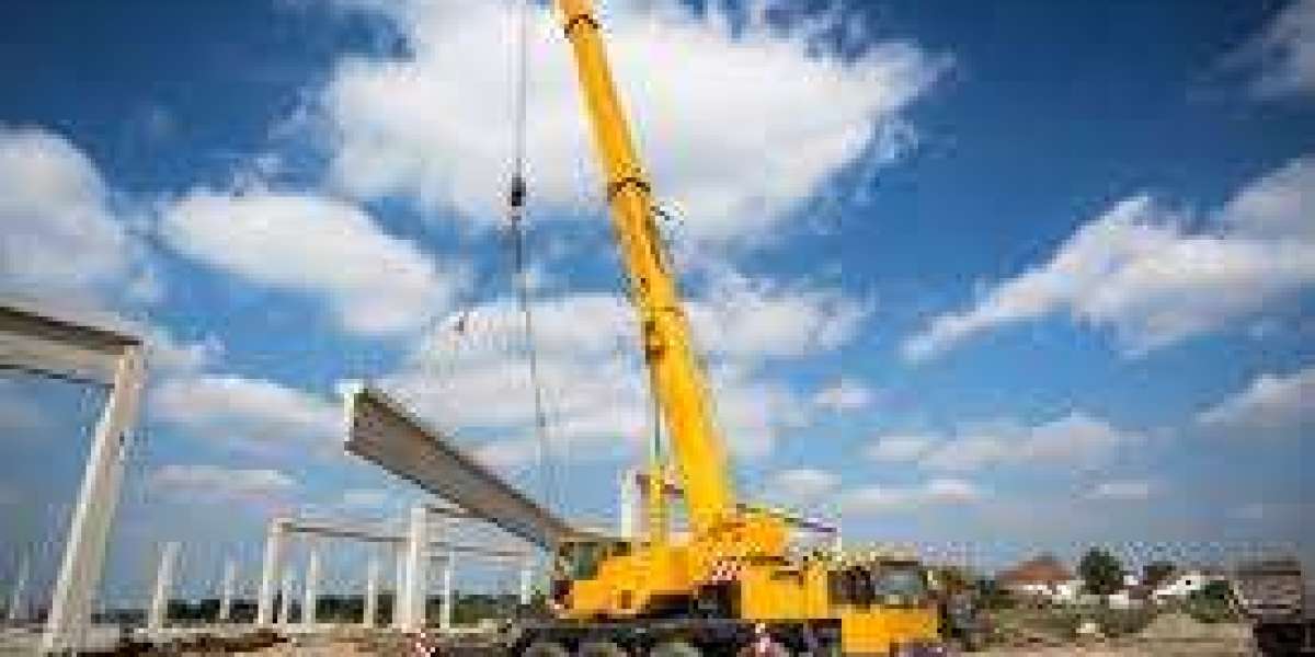 The Different Types of Cranes and Their Uses