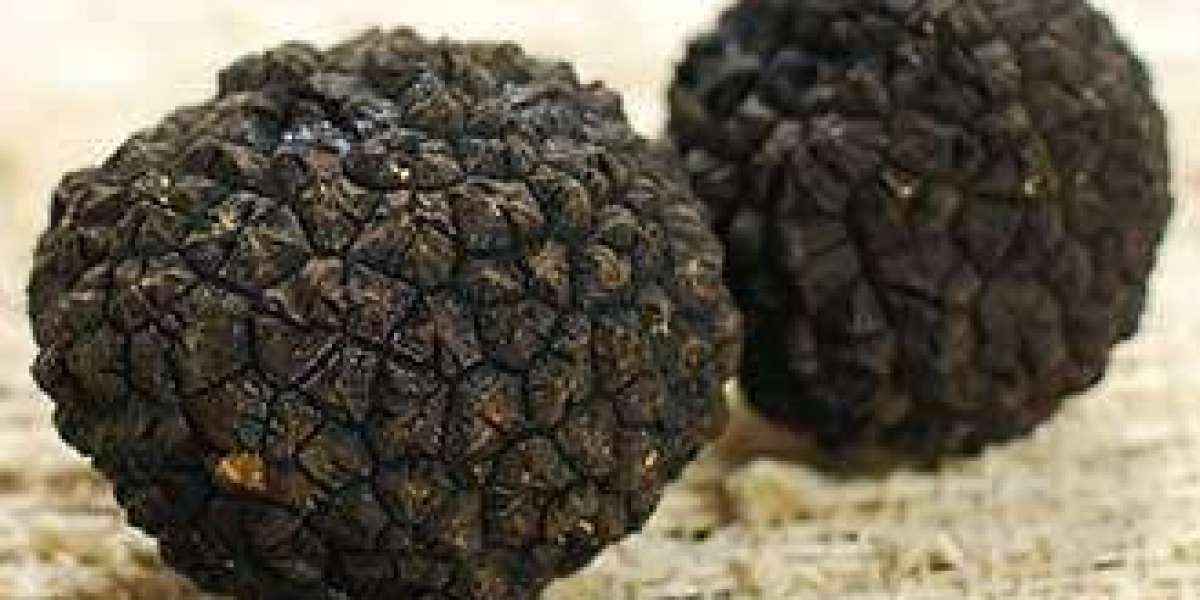 Why Choose Black Truffles?