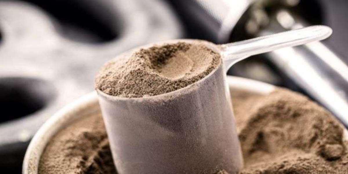 Casein Market Trends, Share, Growth & Insight | 2032