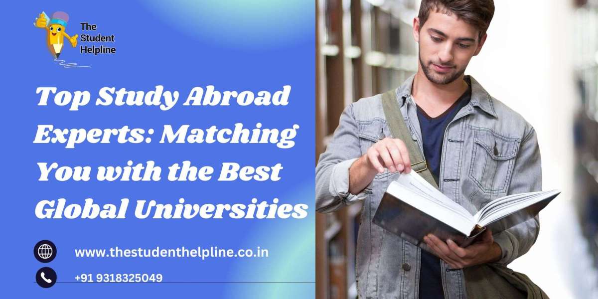 Top Study Abroad Experts: Matching You with the Best Global Universities