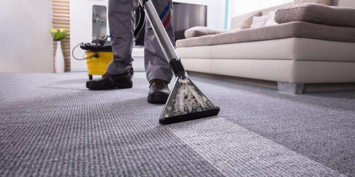 Carpet Cleaning Services: Where Clean Meets Comfort