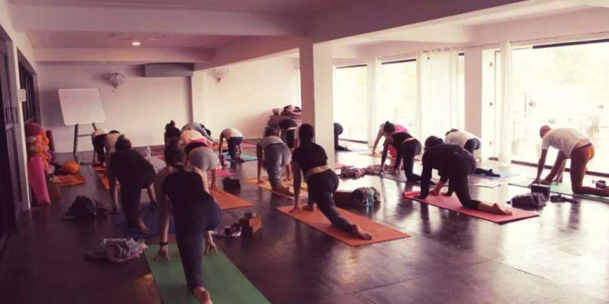 Best 200 Hours Yoga Teacher Training in India | Alakhyog School