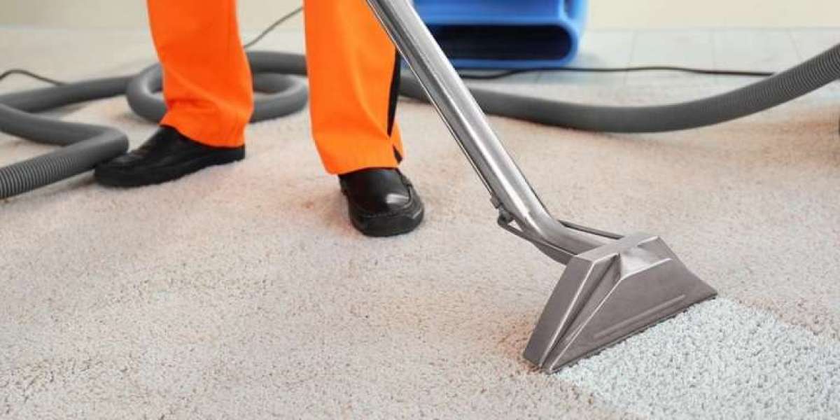 The Importance of Regular Carpet Cleaning Services for a Healthy Home