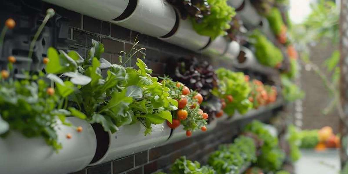 Hydroponics Farming in the USA: Revolutionizing Agriculture