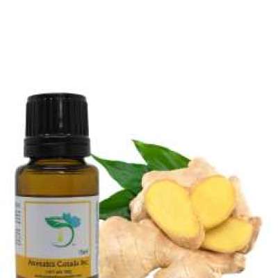 Ginger Root Essential Oil Profile Picture