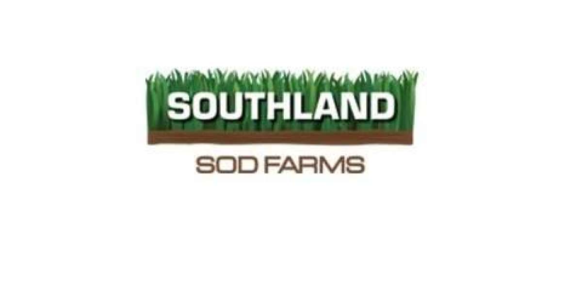 Best Quality SOD Offered by Southland SOD Farms: Premier Turfgrass Solutions in Oxnard, USA