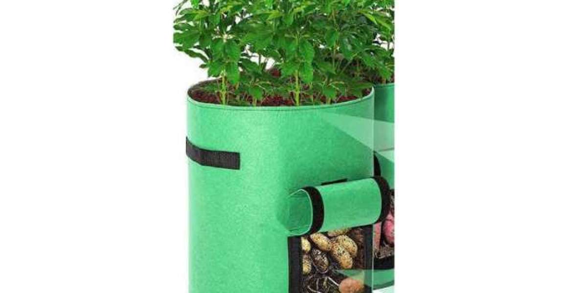 Planting Garden Bags: A Modern Solution for Home Gardening