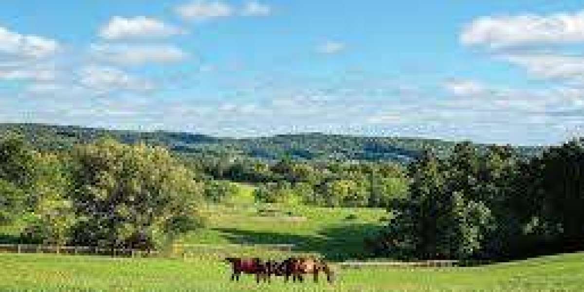 Horse Farm Adventures in Pennsylvania: A Guide