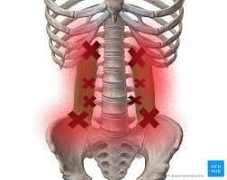 10 Common Myths Your Chiro, Physio or Doctor Probably Won't Tell You About Back Pain. - Sydney Chiropractic & Massage