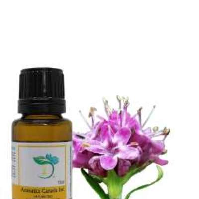 Spikenard Essential Oil Profile Picture