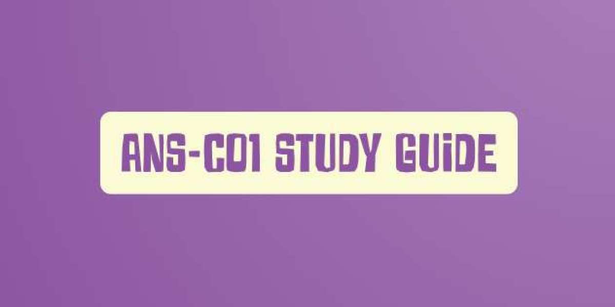 Crack the ANS-C01 Exam with DumpsBoss Study Guide