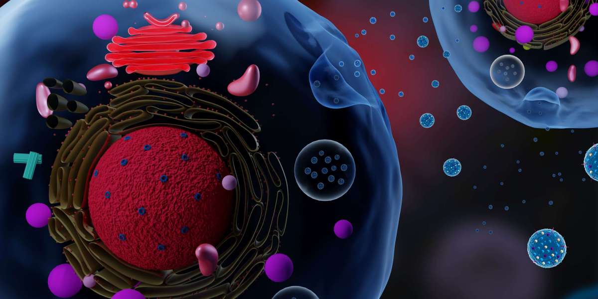 Understanding Lipids and Their Role in Biological Systems and Environmental Research <br> <br> 