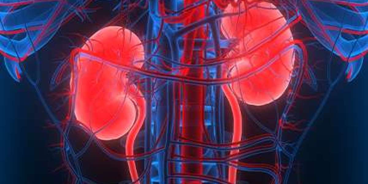 Global IgA Nephropathy Treatment Market Report and Forecast 2024-2032