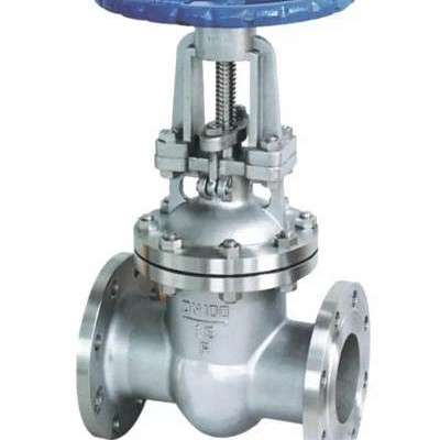 WCB Flanged Gate Valve Profile Picture