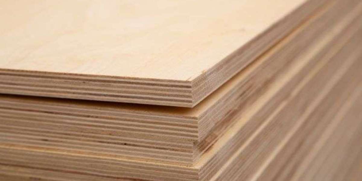 Plywood Market Growth, Size, and Analysis (2025-2034)