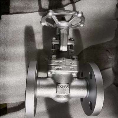 API 602 Carbon Steel Gate Valve Profile Picture