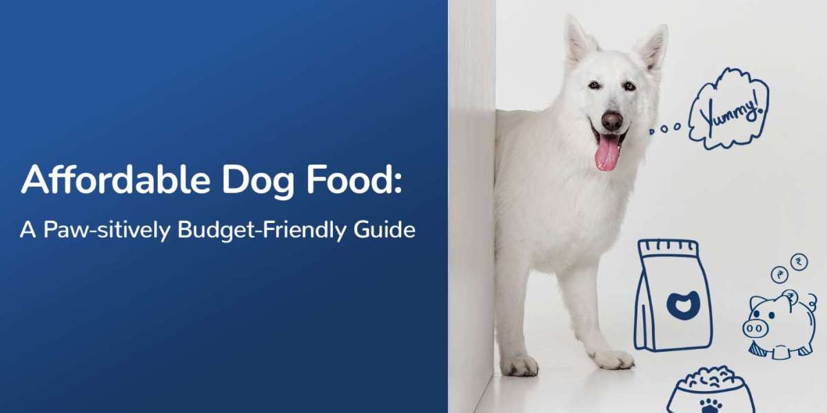 How to Read Dog Food Labels: A Guide to Finding Affordable Nutrition