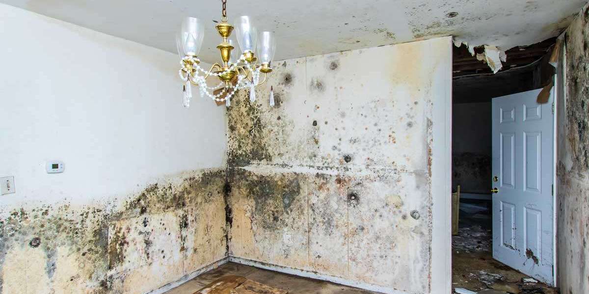 Quickly Address Water Damage Problems in Homes