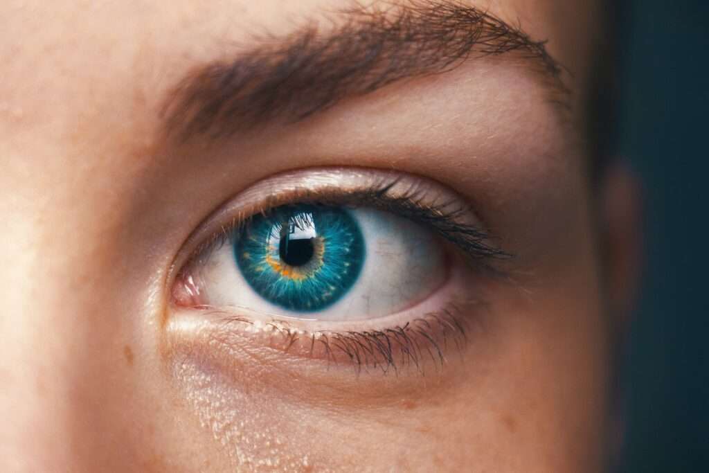 New Year, New Vision: Contact Lenses in Oakville!