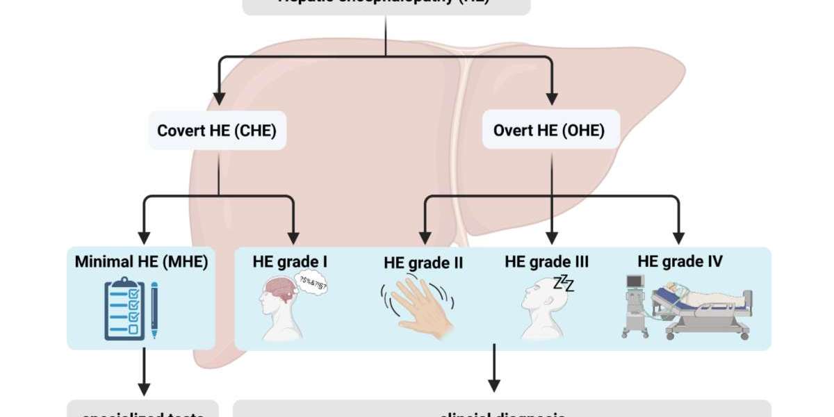 Overt Hepatic Encephalopathy Drug Pipeline Analysis