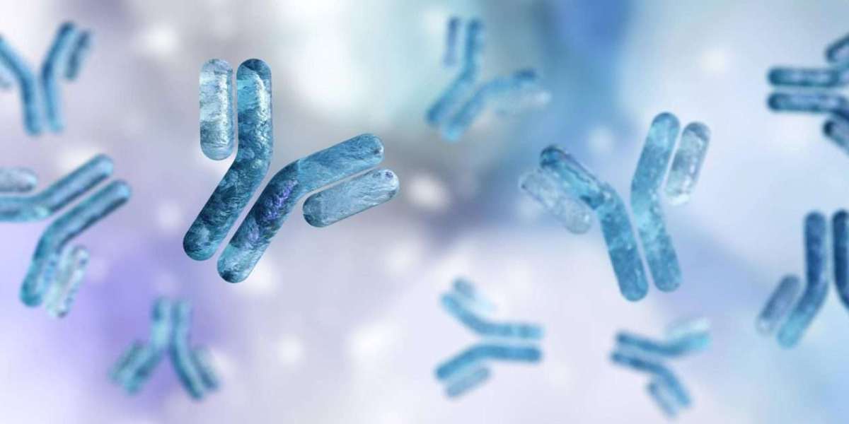 Global Custom Antibody Market