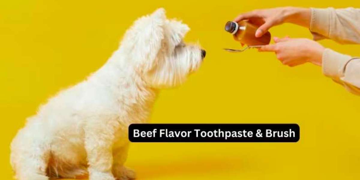 Beef Flavor Toothpaste & Brush: A Unique and Unconventional Oral Care Experience