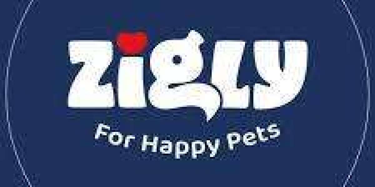 Zigly - Vet Clinic, Pet Grooming & Pet Products | Satya