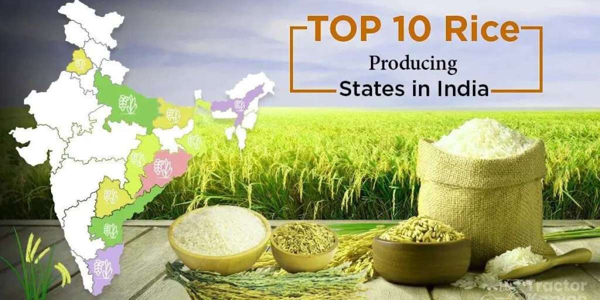 Rice-Producing States in India